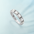 Segmented Eternity Band